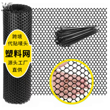 跨境塑料养殖网鸽舍垫网漏粪网宠物笼垫网塑料网格围栏网pe塑料网