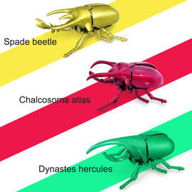 跨境创意上链甲虫可爱发条仿真甲壳虫科普奇趣昆虫动物世界玩具