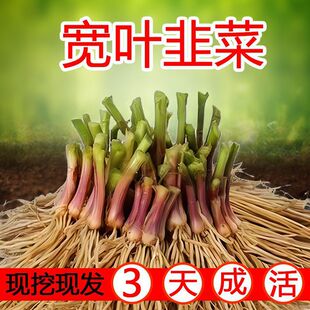 �¾²˸����ϸ����~���~�t���²˸������̨�҃��ļ��߲�����
