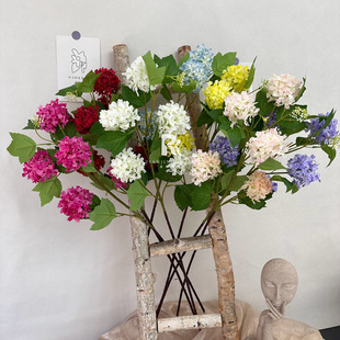 ����5�^ľ����W�tѩ�򻨿͏d�[�żٻ��鷿��Y�廨�b�c����