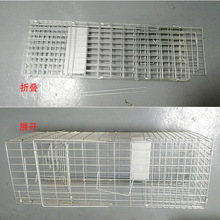 超大号捕鼠神器折叠捕鼠笼铁网老鼠笼批发