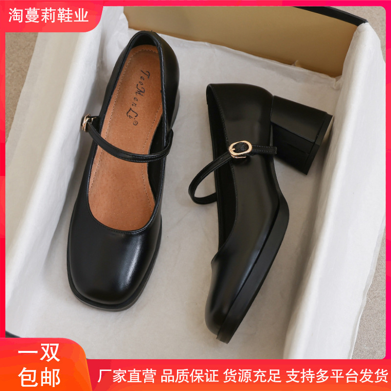 Sheepskin Version ~ French-Style Stunning Mary Jane Women's Shoes 2025 New Summer High-Heeled Comfortable Shoes High-Heeled Small Leather Shoes