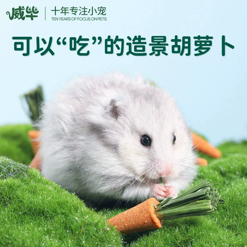 Картофельные палочки для прорезывания зубов для хомяков, золотистые мишки, шиншиллы, морские свинки, кролики, корм для крыс, основной корм, небольшие закуски