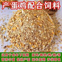 ��Ƥ�׿��u�îa���u��σr��ι�u���������д����ʳ���g���u���