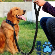 �����˹ɾ����K�������{���pɫ�����Ȧ����Ȯ���⠿���K����Ó