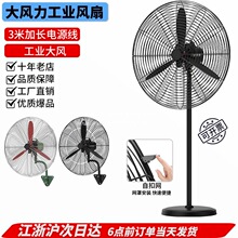 ���I��L�ȏ������ȴ��������������ţ���L�ȳ���ȩ���L������