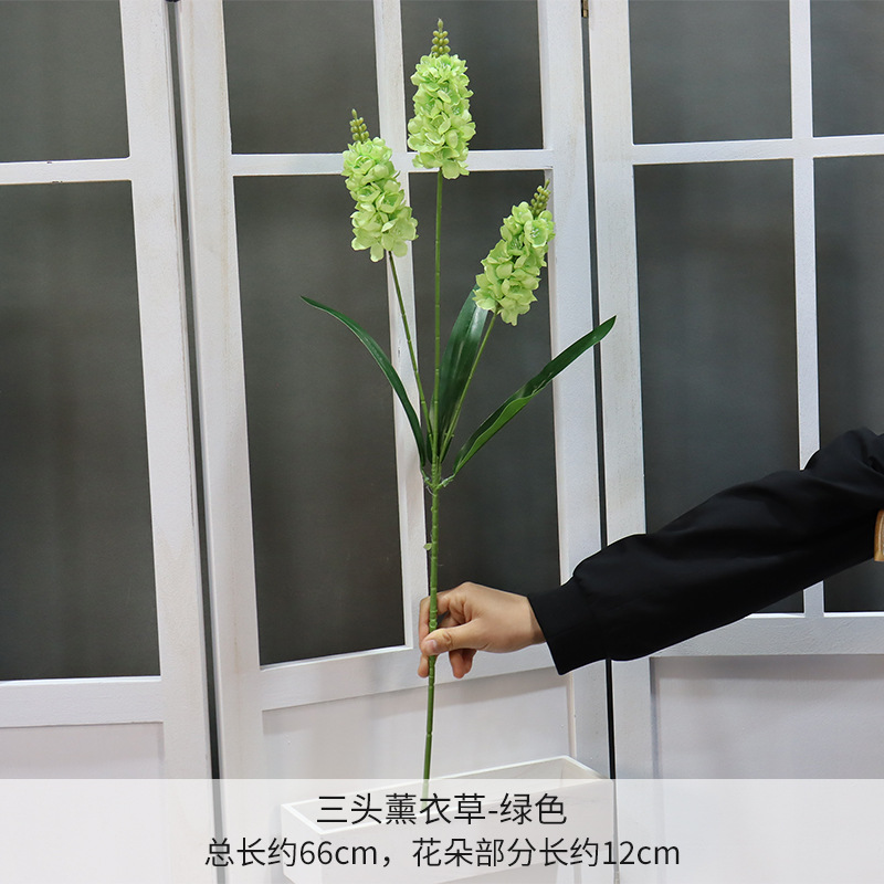 Una rama de lavanda verde de tres cabezas