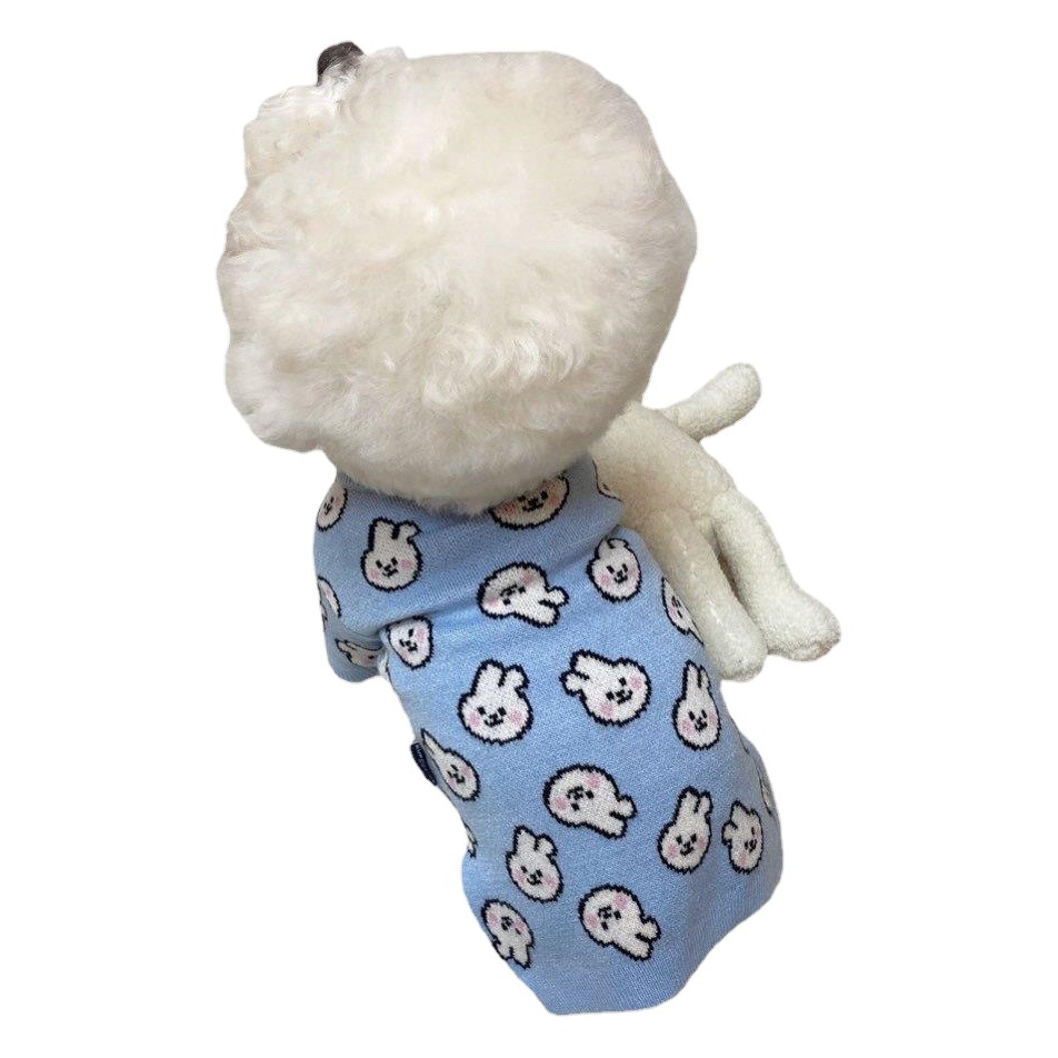 Nueva primavera y otoño perro ropa conejo pequeño cachorro oso de peluche bomei gato mascota