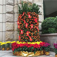 ������Ԏ�����ɰ�����ٴ��;Gֲ��ɰ�����������ش��ۘ����l