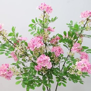 ���W���ߔ[�������L֦��Ц��Ұ�ѻ���c�b��~�黨���溬Ц��