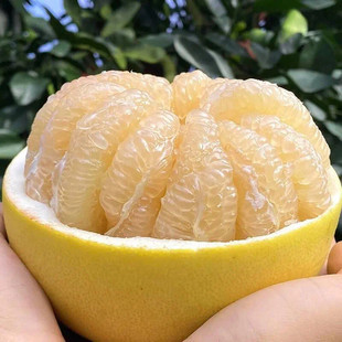 ��ƽ�ͬgϪ���� ˮ���������ӡ��Ϙ����ӹ���Ƥ��9�����rˮ�����l