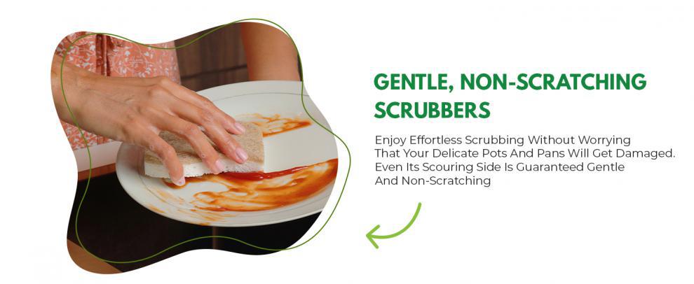 S-Shaped Coconut Sponges