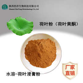 水溶荷叶粉浩洋生物 萃取荷叶提取物 荷叶黄酮食品级 植物提取物