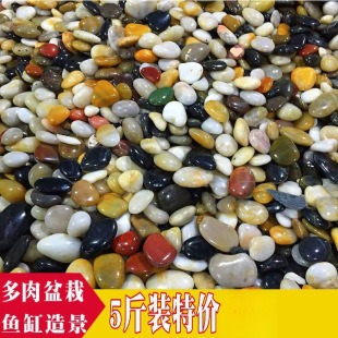 Pebbles Mass 2.50kg Rain Flower Stone Original Stone Goose Soft Warm Road Paving Courtyard Garden Landscaping Large and Small Stone Daifa