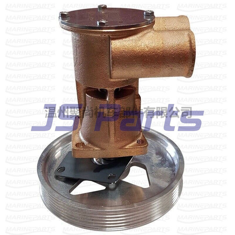 3593656 Raw Sea Water Pump