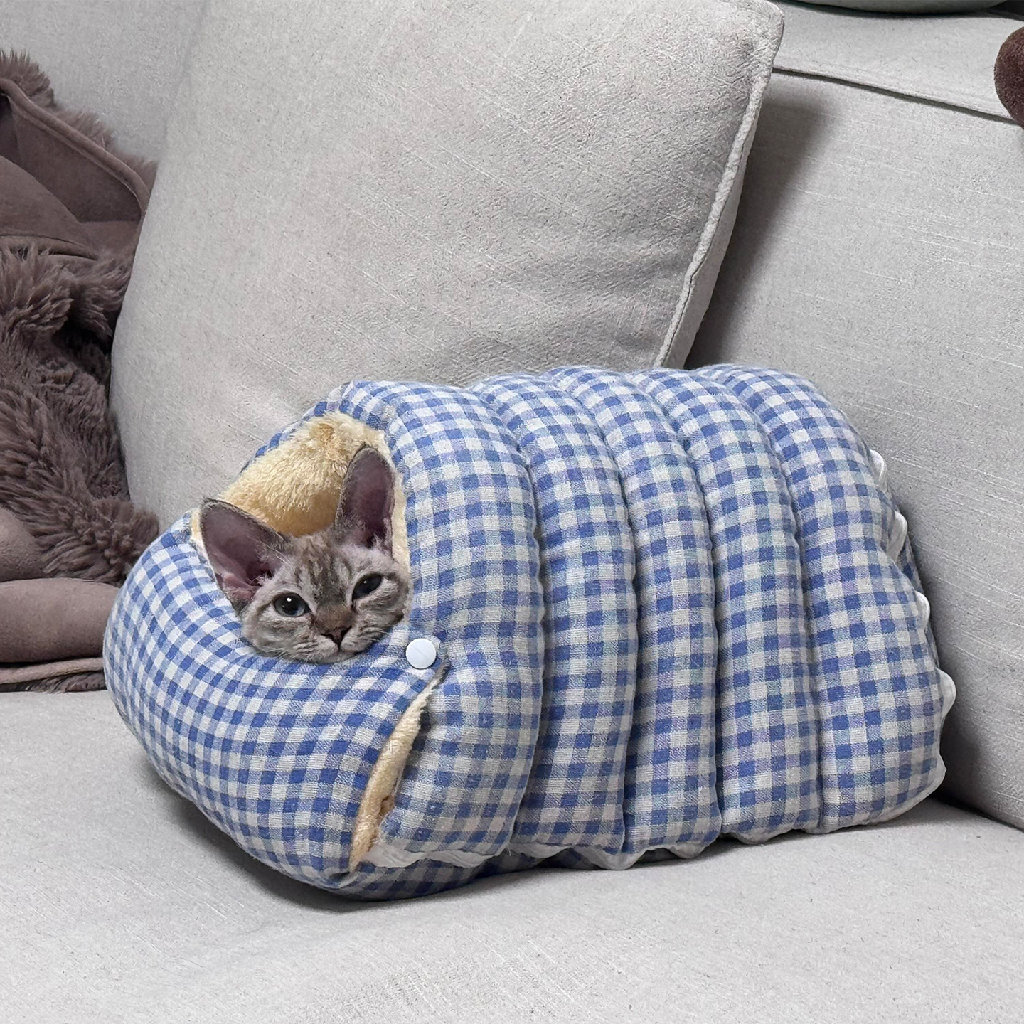 Panier fermé pour animaux de compagnie (chats et chiens) - Chaleur et sécurité en hiver - Style grotte confortable - Idéal pour les petites races_voghion.com