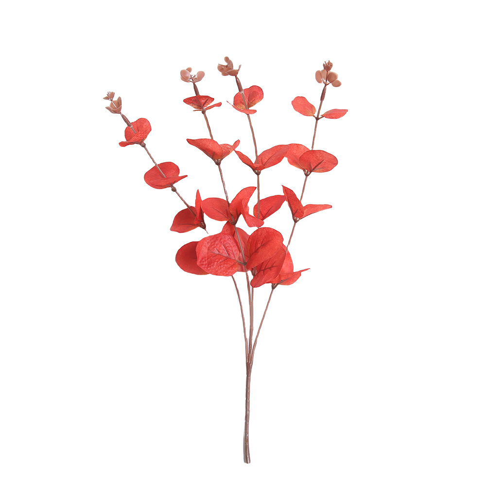 Rojo Arce
