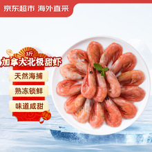 ���|���� ���ô󱱘O���r3��(90-120Ҏ��)135-195ֻ �����ʳ Դ