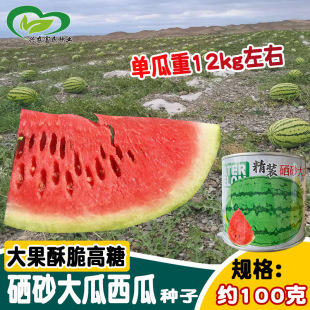 ���b��ɰ������ϷN�� �r��ˈ@���ز�t�������������