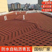 �r����Ƭ�p䓄e���t�����ճ��ˮ���ľ���͚���ꖹⷿ���w�߸���