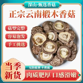 速溶咖啡;传统糕点;豆类零食