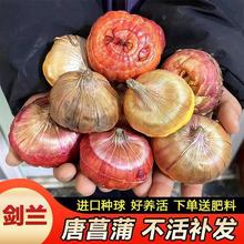 ļфmNͥԺ̨ͺ͟Ứֲ׻_