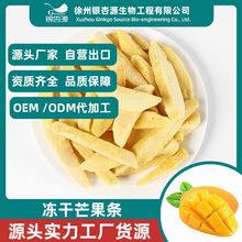 FD冻干芒果条酥脆芒果干休闲零食烘焙雪花酥原料批发源头生产厂家