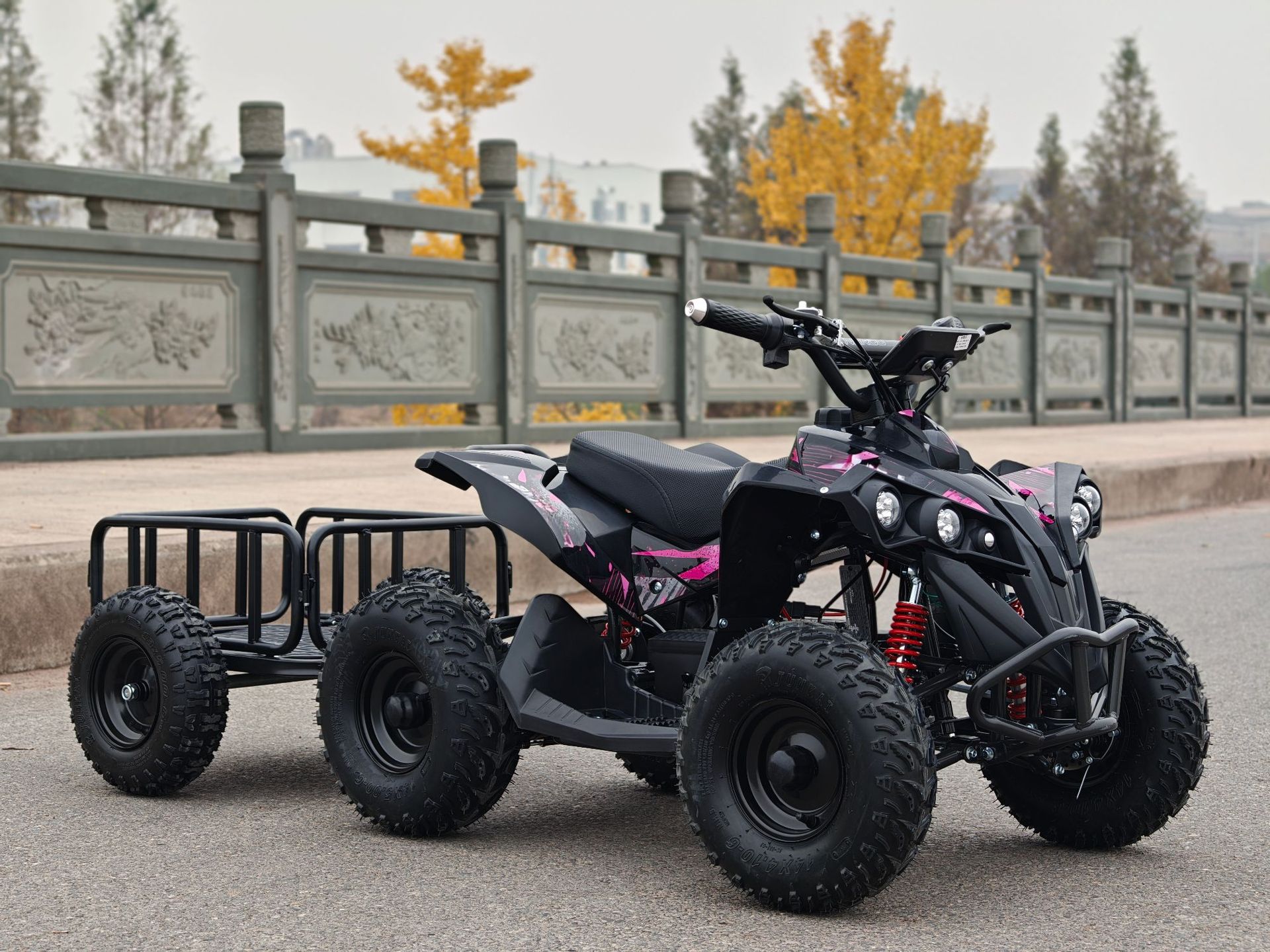 Small Overlord ATV Beach Motorcycle All-Terrain Vehicle Electric Scooter
