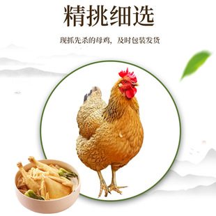 �a��ĸ�u��ɽɢ�B����ĸ�uƤ���������ι�B���|�o����ĸ�u