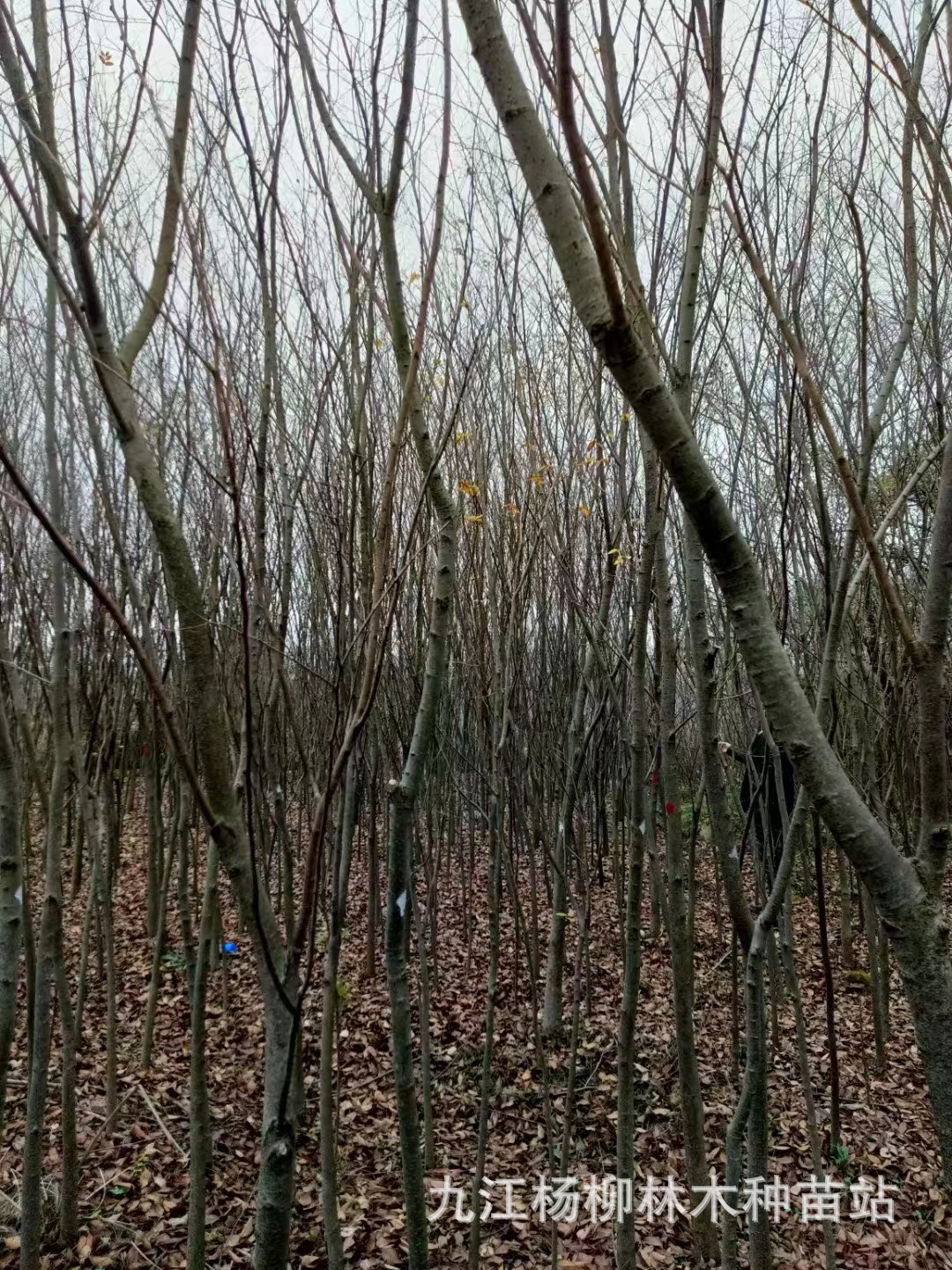 微信图片_20231009155741