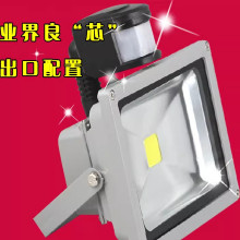 12V220V�O�ظБ�Ͷ���������w�t���ˮ�⾀����LED�aˮ�O�t�⾀