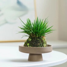 简约粗陶菖蒲苔藓球花盆陶瓷高脚家用透气盆栽盆桌面摆件可批发