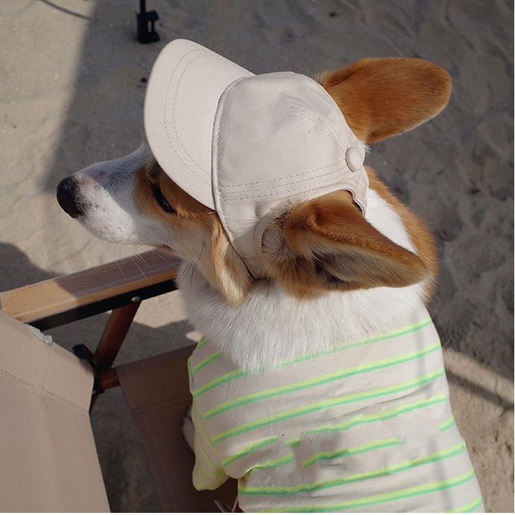 Mascotas salen, protector solar, enfriamiento, fotos, sombrero para el sol de la marca Corgi Trendy, sombrero de perro de peluche ajustable para perros al aire libre