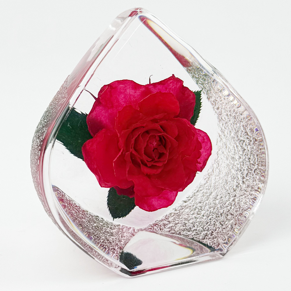 [Airplane Box] Small Love Glacier Style Red Rose