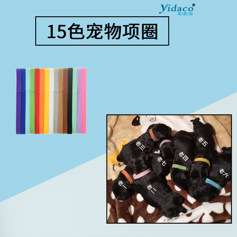 宠物项圈狗狗新生身份识别项圈多色小猫脖圈自粘魔术贴绑带可调节