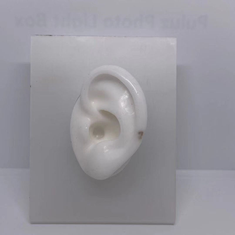 Falso modelo de oído de silicona suave simulación de oído humano espárrago del auricular accesorios médicos enseñanza pantalla ventas directas de la fábrica