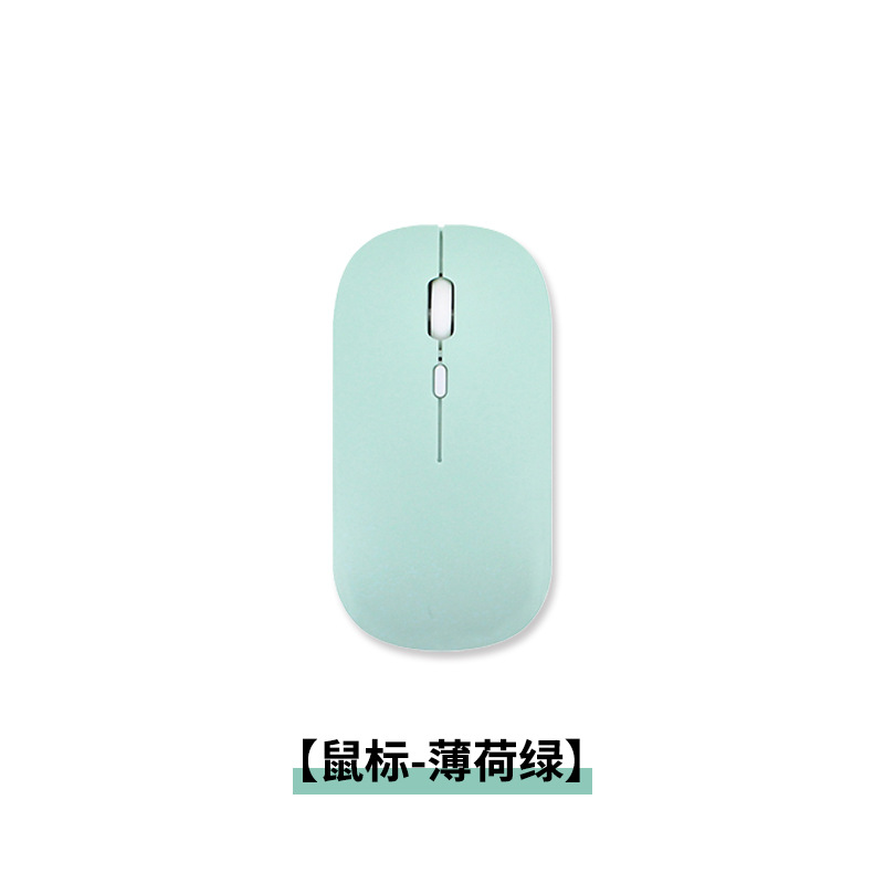 마우스 민트 그린