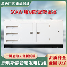 ��������50KW����˹��˹̹����������ͷ������ �����Զ����ܵ�