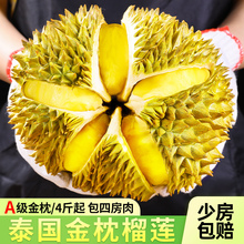 泰国金枕榴莲顺丰新鲜水果当季带壳迷你一整个小巴掌榴莲的肉包邮