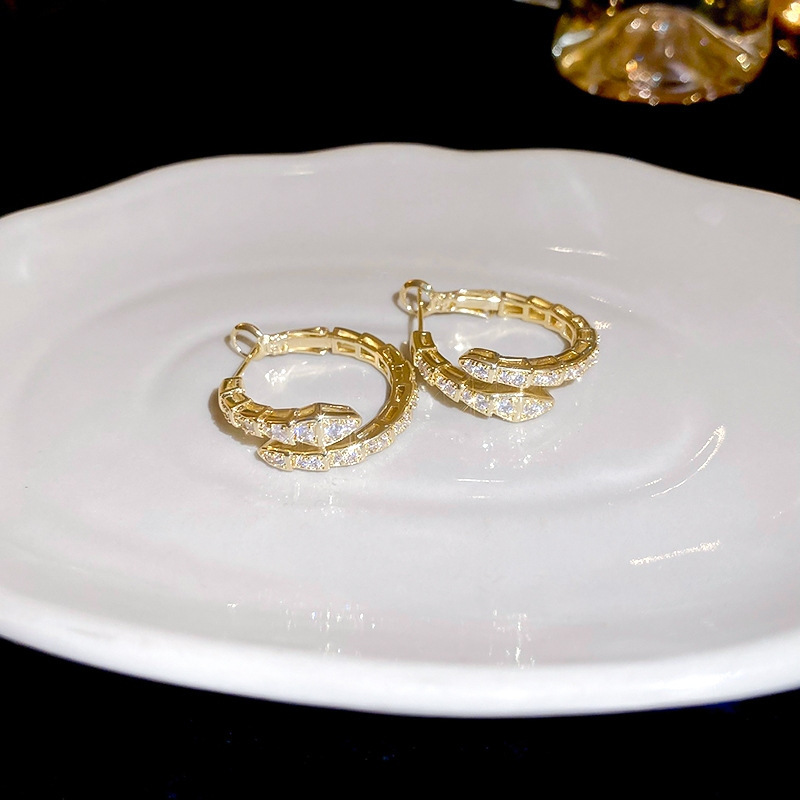 Pendientes de suministro de mercado nocturno de agujas de plata Pendientes de moda coreana en vivo Pendientes de estilo caliente Pendientes de lujo ligero Mujeres de alta gama