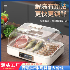 国境を越えた新しい家庭用ファーストフード解凍装置定温氷ロック生解凍鮮度保持食器乾燥機メーカー