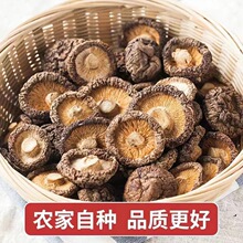 香菇干货500g肉厚无根干香菇菌菇新货批发毛重非净重农家特产250g