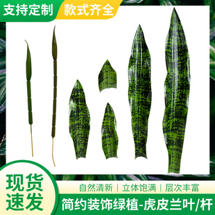 ����ֲ�������֦�U���z���F�z��Ƭ��Ƥ�m�~�ӾGֲ��������G�~