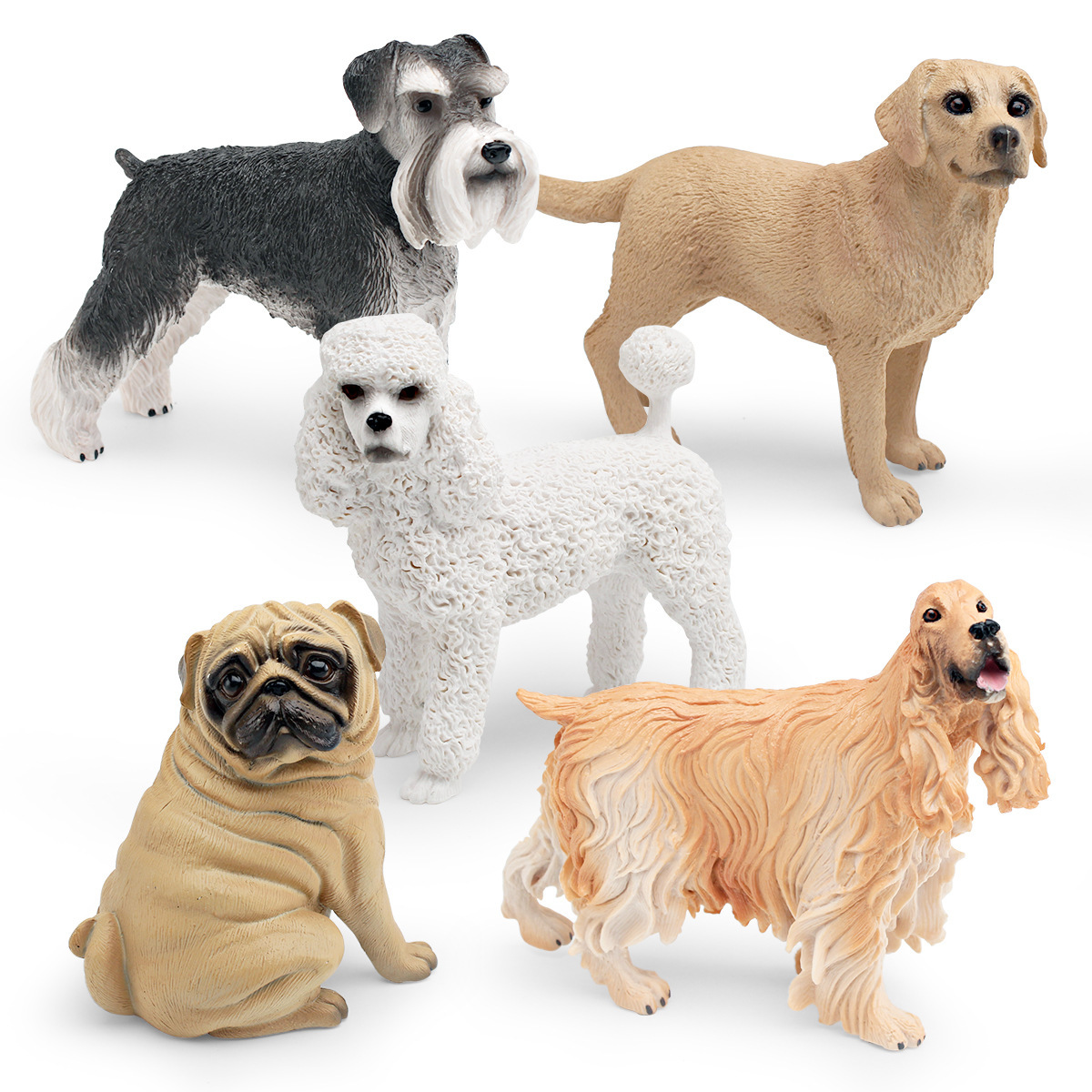 仿真宠物狗狗动物模型八哥犬雪纳瑞贵宾犬拉布拉多美国可卡犬摆件