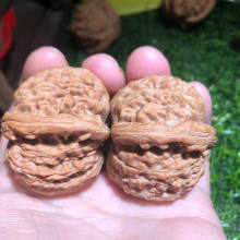 ������Ґ���{���^���������O���@����������Ҵֽ�ԭɫ�Ϻ�����