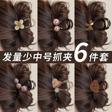 �����Y��̖ץ�AŮ2026�¿�߼��ЊA�Ӱl���ٰl�A���X�����~�A�l�