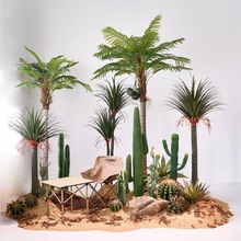 bôҬӘҬӘ쾰پGֲļɳ