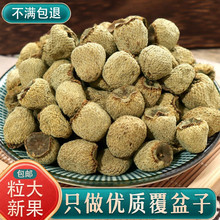 Ұș500g]ؼڸӲȻoɹݾ