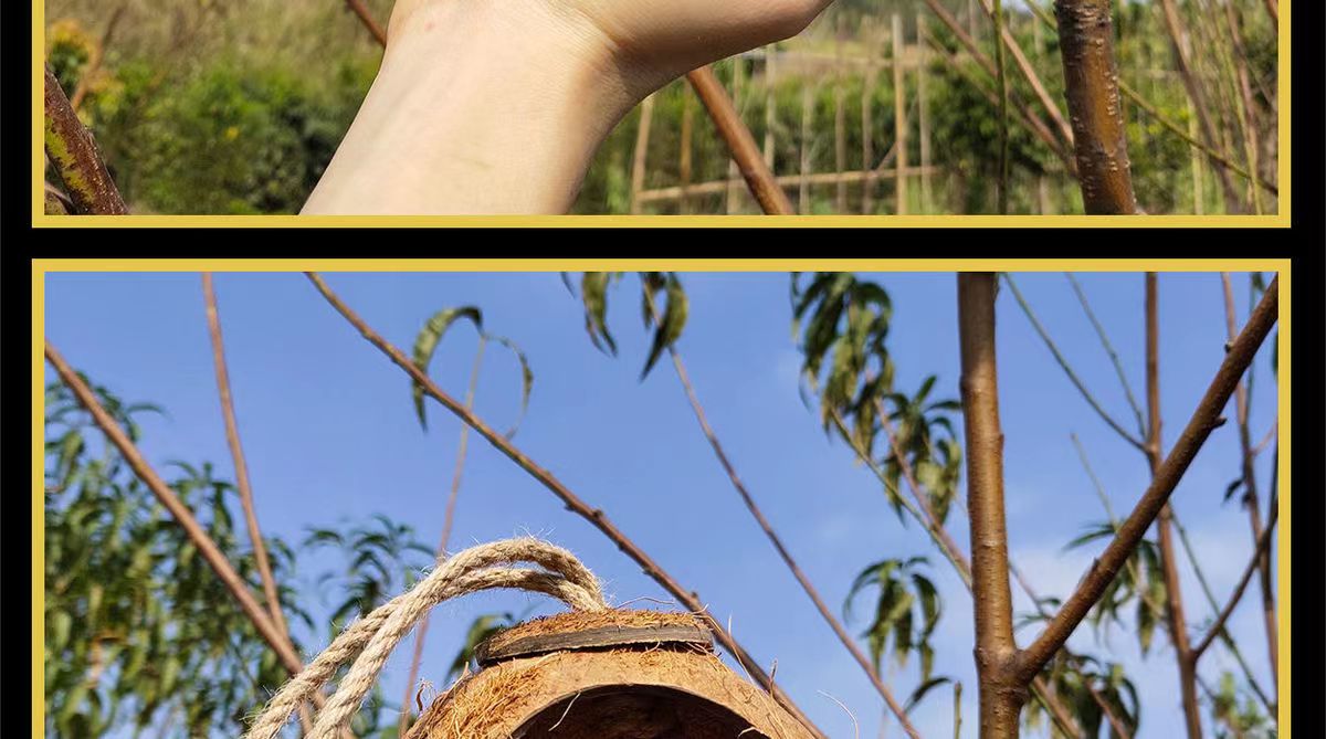 /format,png