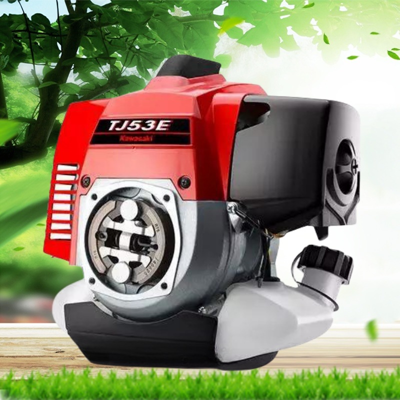 5_897_2235646_700_470.jpg.webp